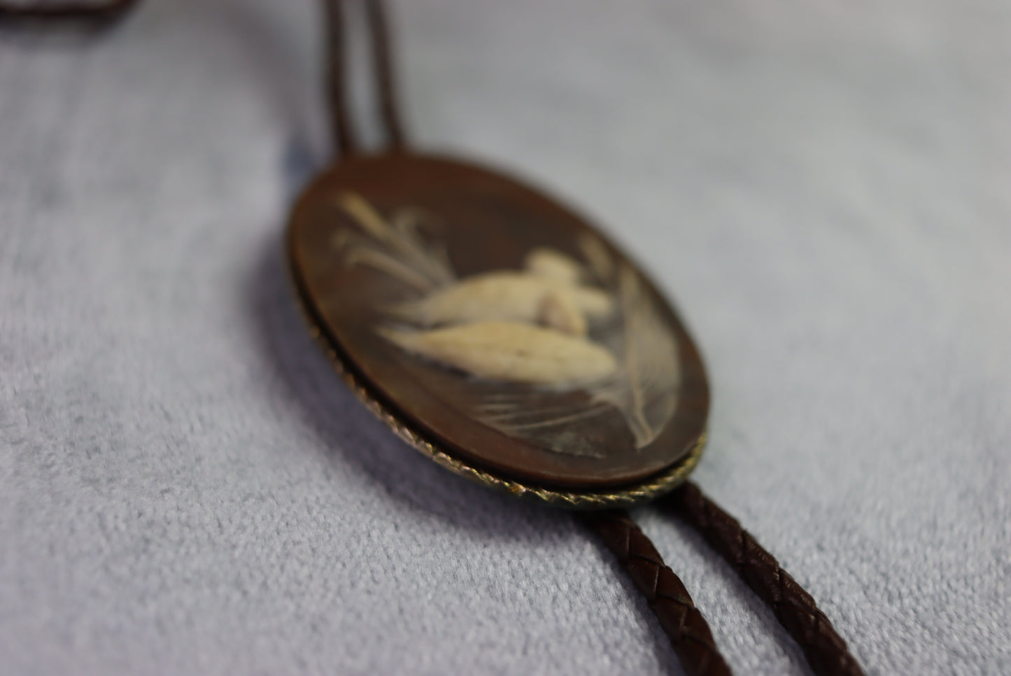 Vintage Large Oval Duck Scene Bolo Western Tie